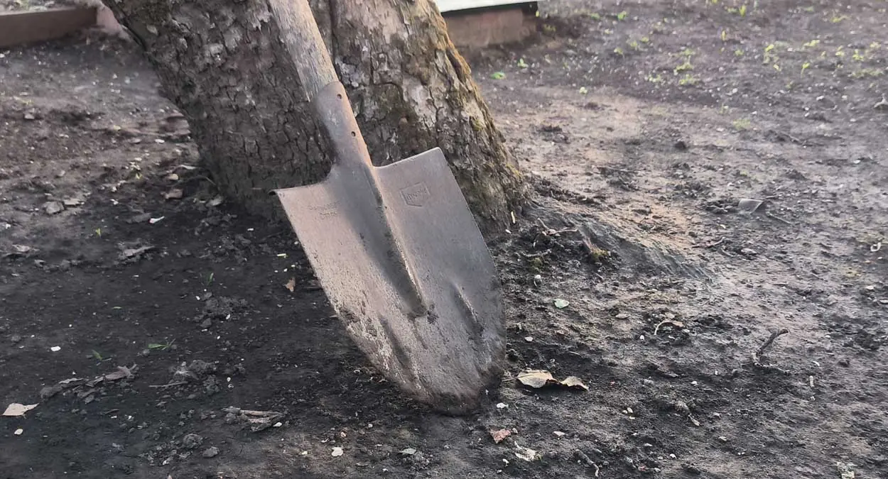 Ноябрьские хитрости опытных огородников: 9 дел, которые нужно успеть сделать до зимы