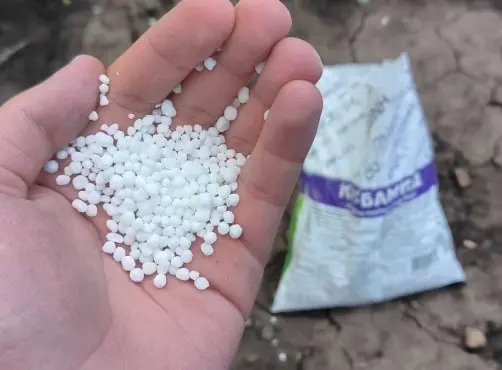 Когда мочевина становится абсолютно бесполезной