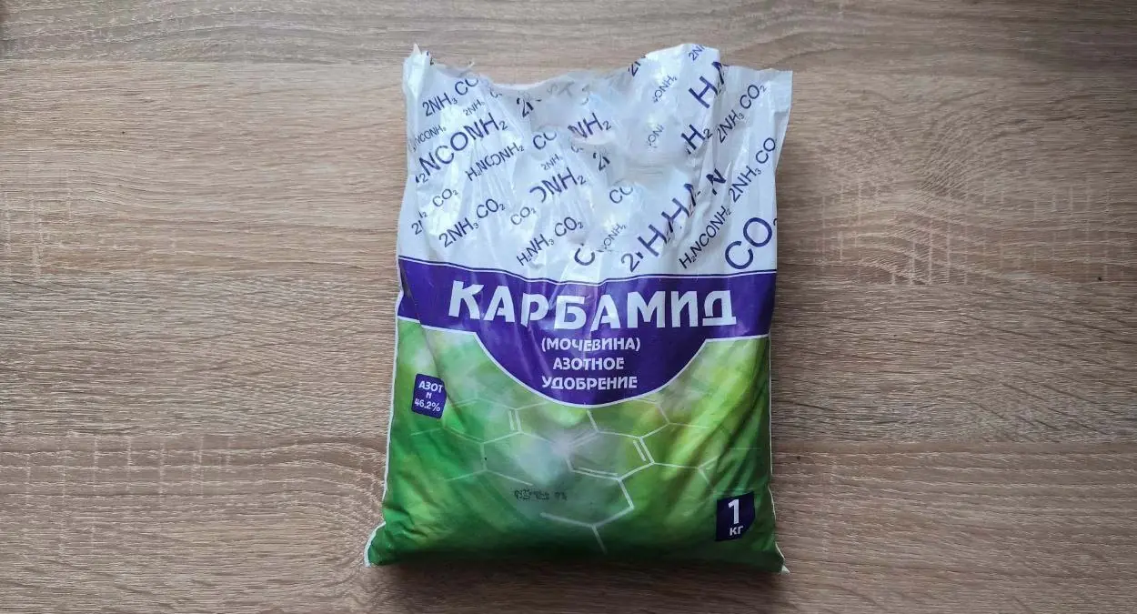 Весенний эликсир для яблони: плодов будет в два раза больше — главное успеть до цветения