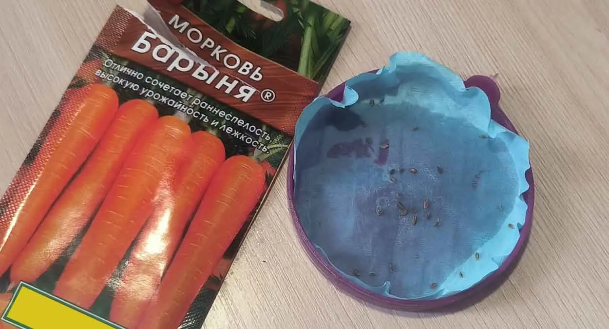 Как вырастить морковь без хлопот: забудьте о прореживании и прополке — проверенный метод