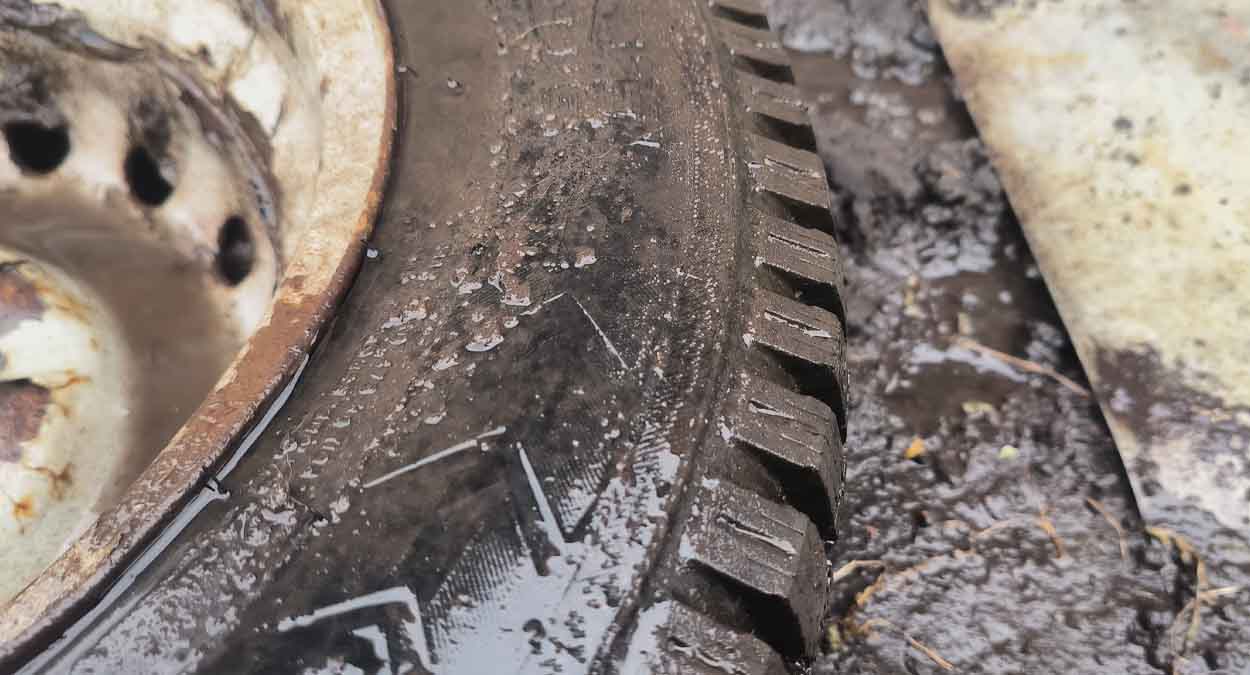Как вырастить клубнику размером с яблоко: хитрость с автомобильными покрышками