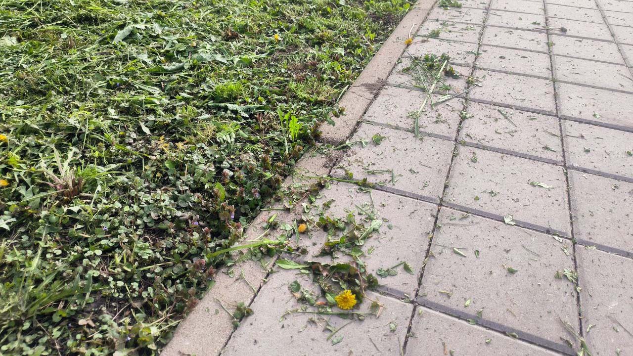 Зачем садоводы проводят мульчирование огорода «горячей» травой: разбираемся в тонкостях