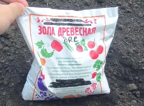 Как правильно использовать золу для удобрения растений