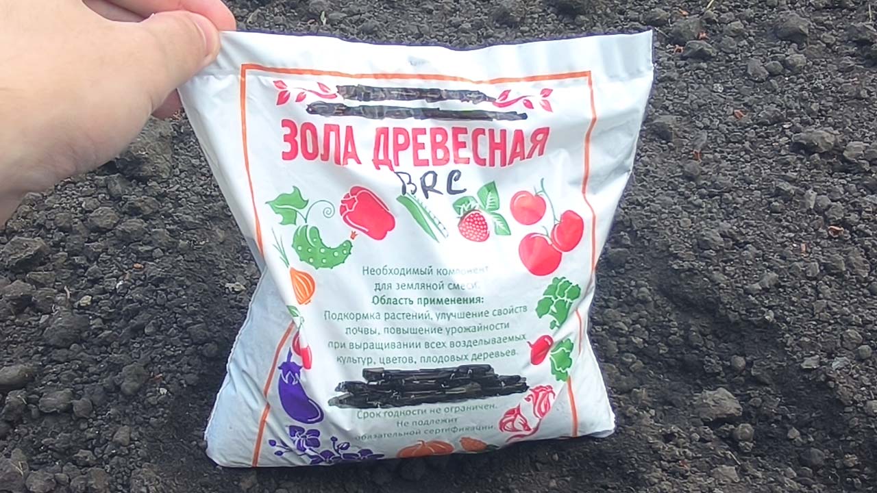 Распространенные ошибки при внесении золы - изучите, чтобы огород не «пропал» на глазах