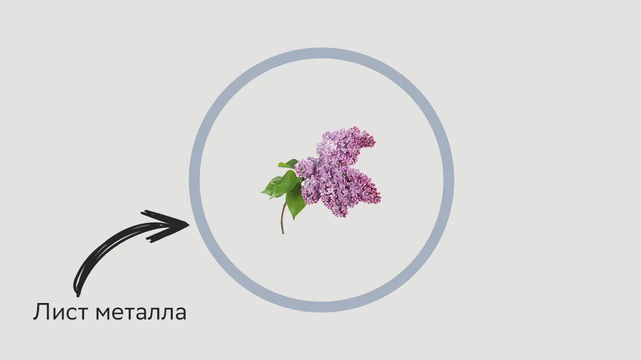 Что сделать, чтобы поросль сирени не разрасталась по огороду: хитрость от садоводов