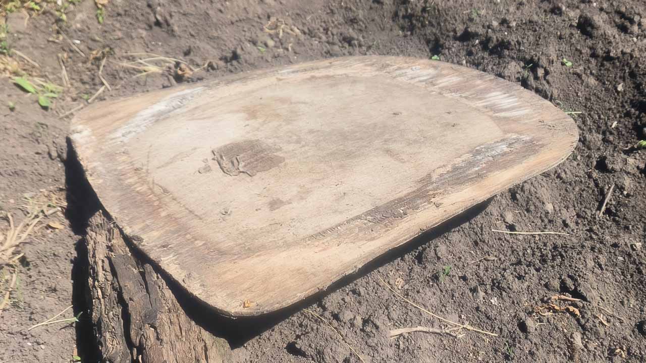 Избавляемся от слизней с помощью обычной доски — экологичный и простой способ