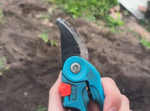 Какой кусторез не превратит стрижку в каторгу? Смотрим 4 типа