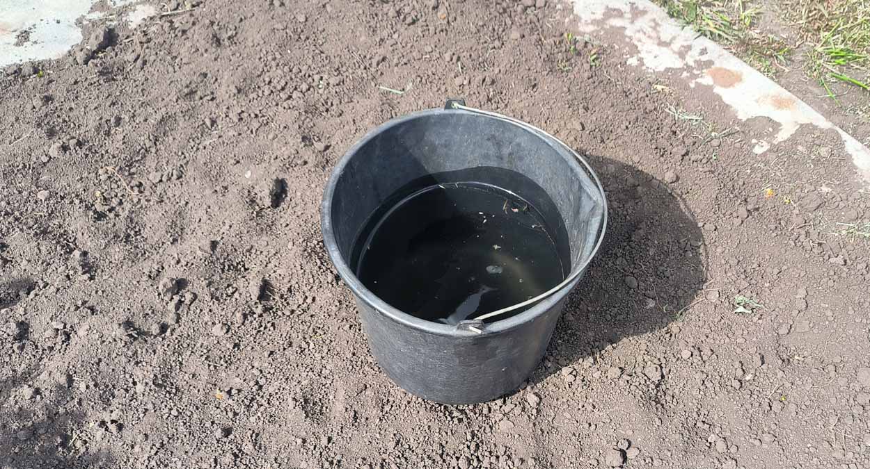 Как уберечь огород от нашествия майских жуков