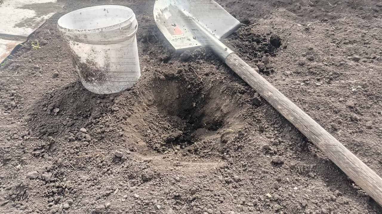 При посадке перца добавьте в лунку смесь из трех компонентов: так делают только опытные дачники