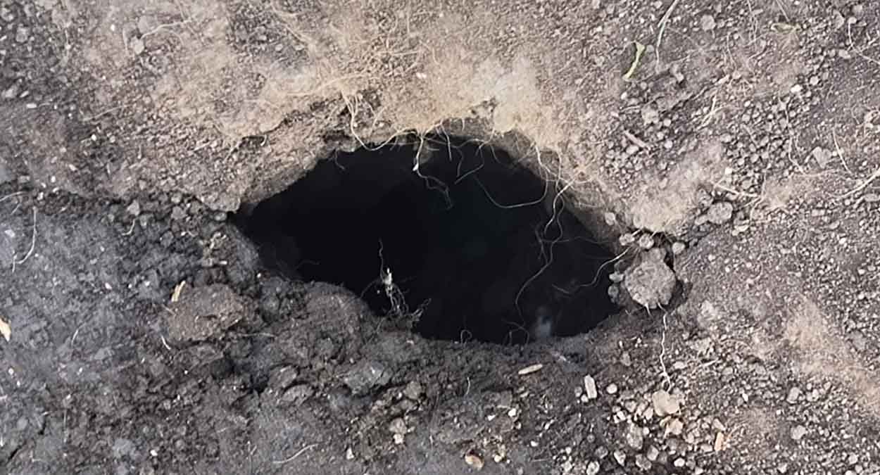 Старинный «проверенный» метод избавления от кротов, который только вредил огороду