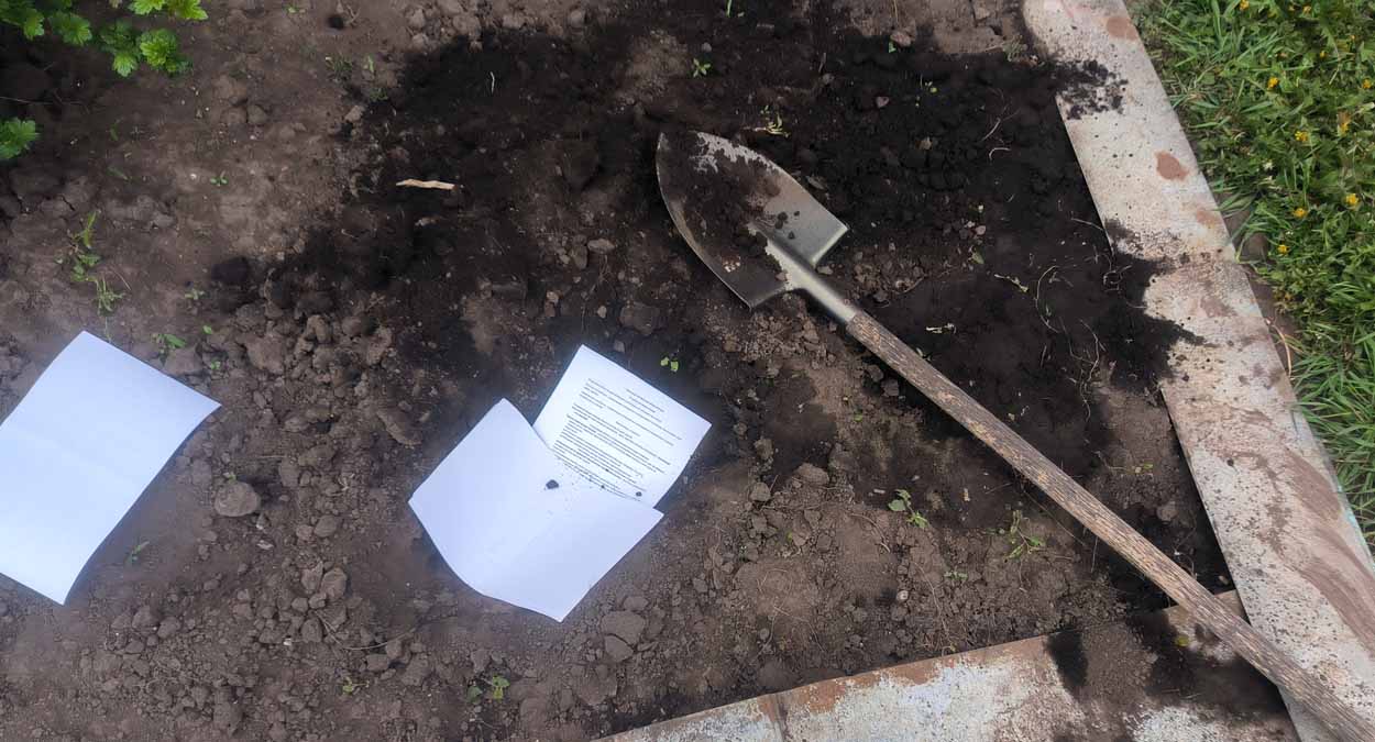 Старые газеты полностью избавят огород от сорняков: дорогой спанбонд больше не нужен