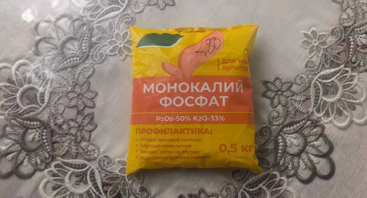 Почему морковь растёт рогатой и как это исправить?