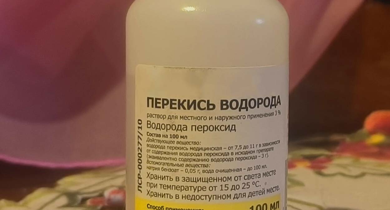 Как понять, что у рассады томатов и баклажанов чёрная ножка: срочно спасаем урожай