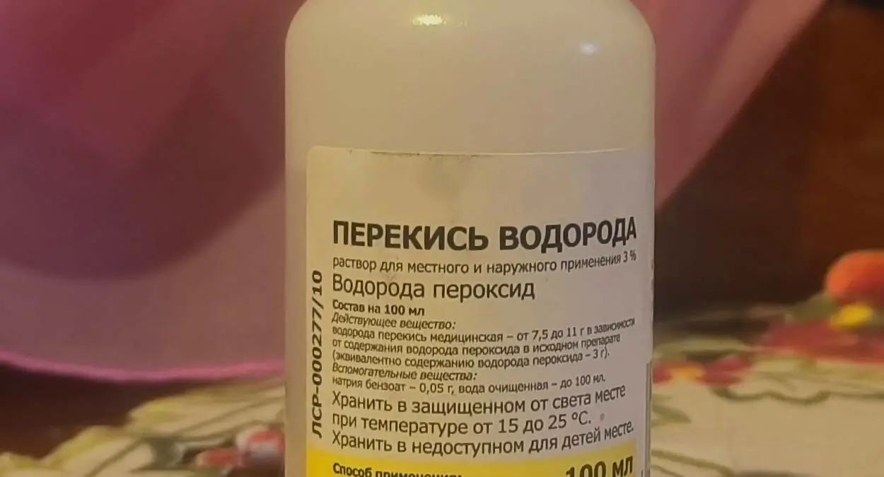 Как понять, что у рассады томатов и баклажанов чёрная ножка: срочно спасаем урожай