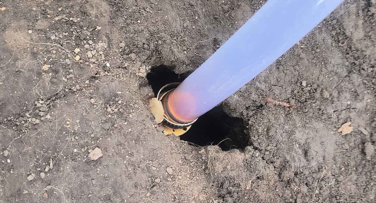 Как избавиться от кротов на огороде с помощью воды: способ экономный, но непростой