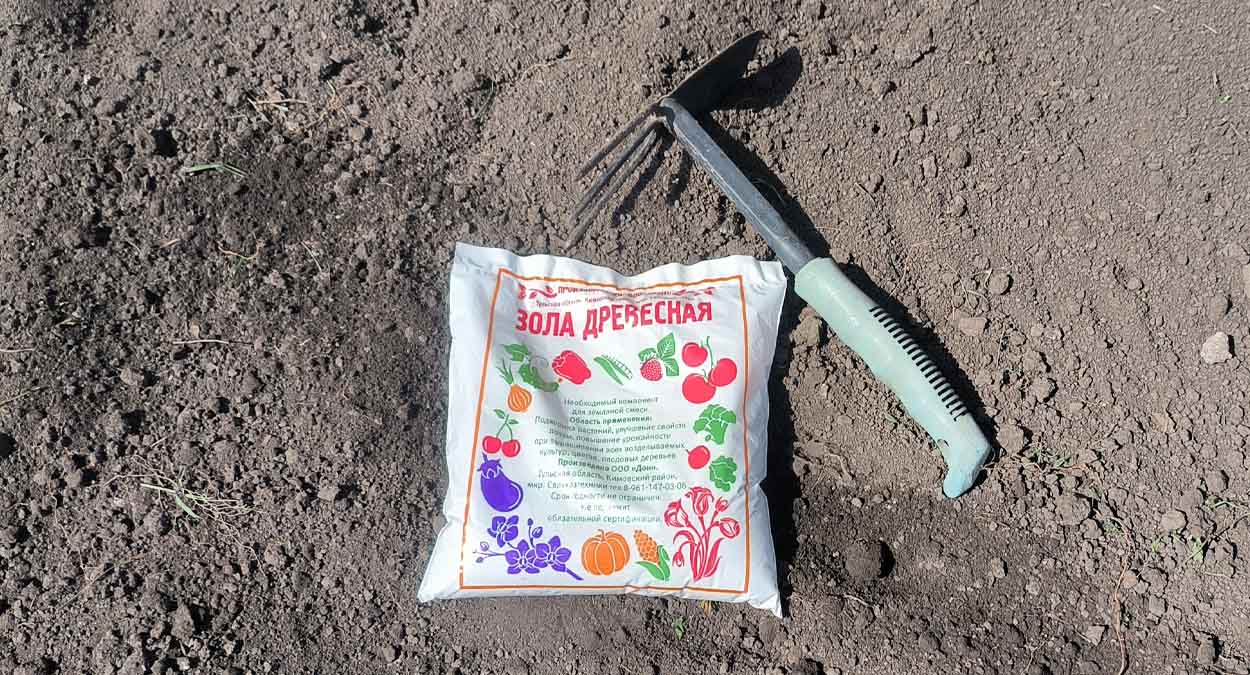 Нелюбимое удобрение томата при посадке в лунку - избегайте его для хорошего урожая
