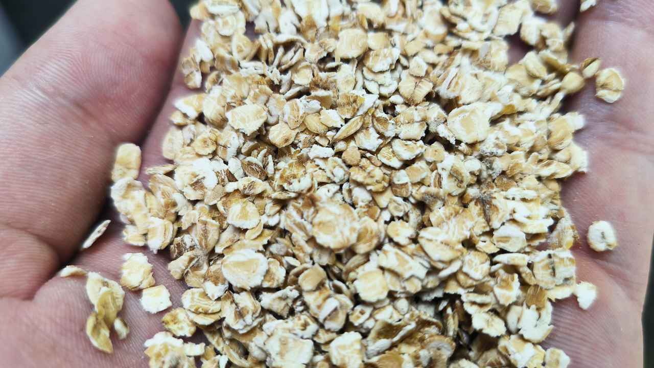 Овсяные хлопья на огороде: зачем опытные дачники раскидывают этот продукт на своих грядках?