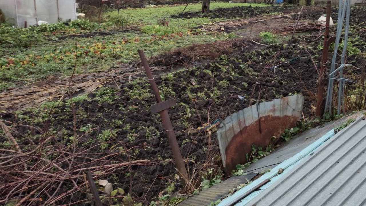 За сжигание штраф, вывоз тоже дорого: куда девать горы веток после обрезки деревьев и кустарников