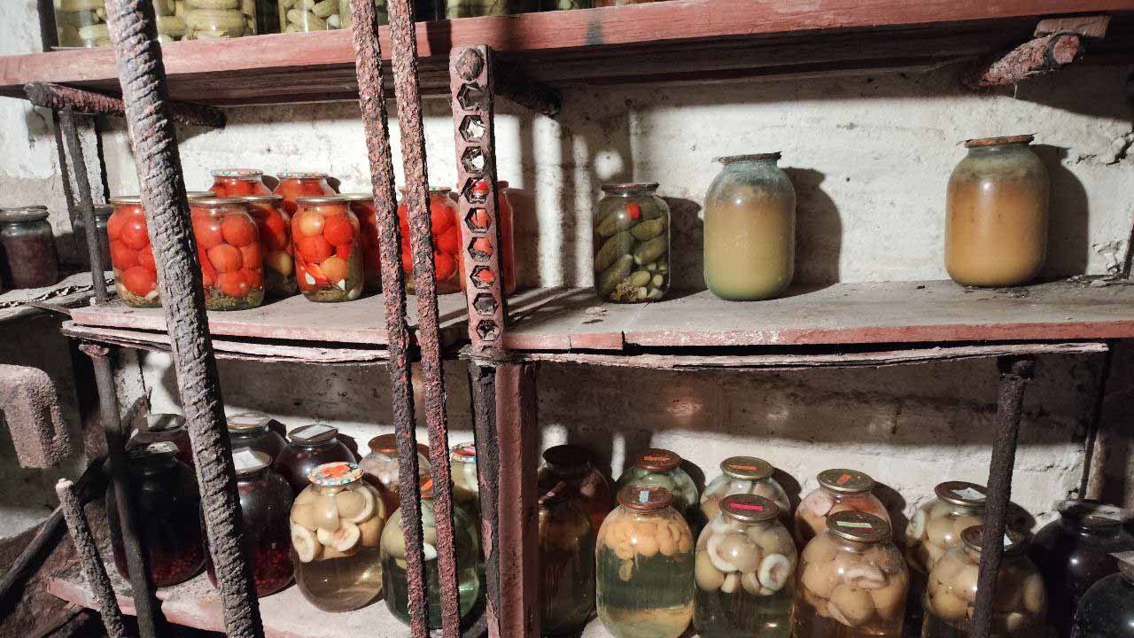 Погреб или холодильник: что выбрать для хранения урожая