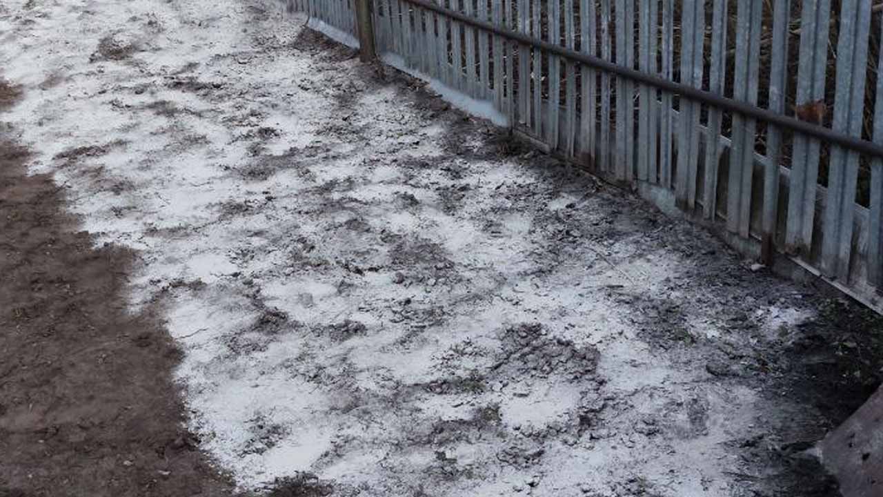 Обязательно внесите в ноябре это удобрение: сыпать можно хоть по сугробам
