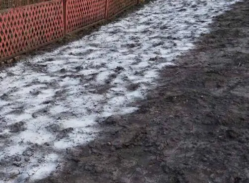Обязательно внесите в ноябре это удобрение: сыпать можно хоть по сугробам