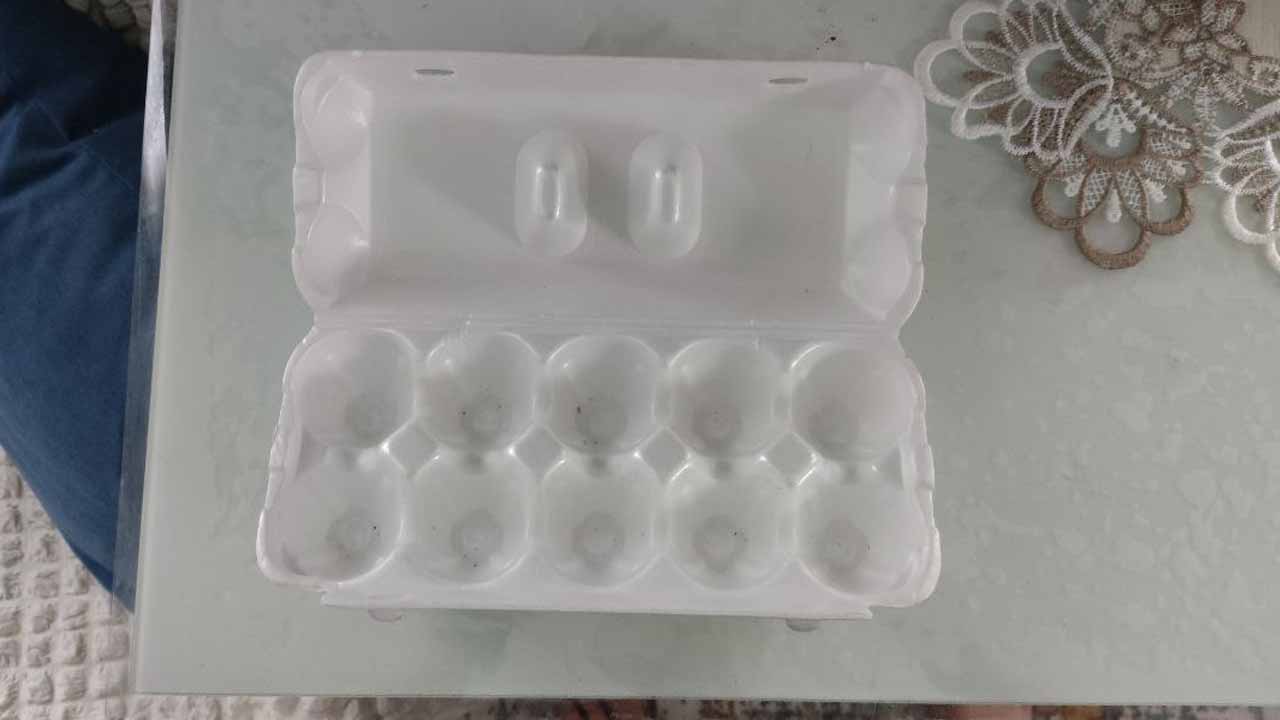 Свежий лук без земли и грязи: xитрый трюк для получения зимнего урожая на подоконнике