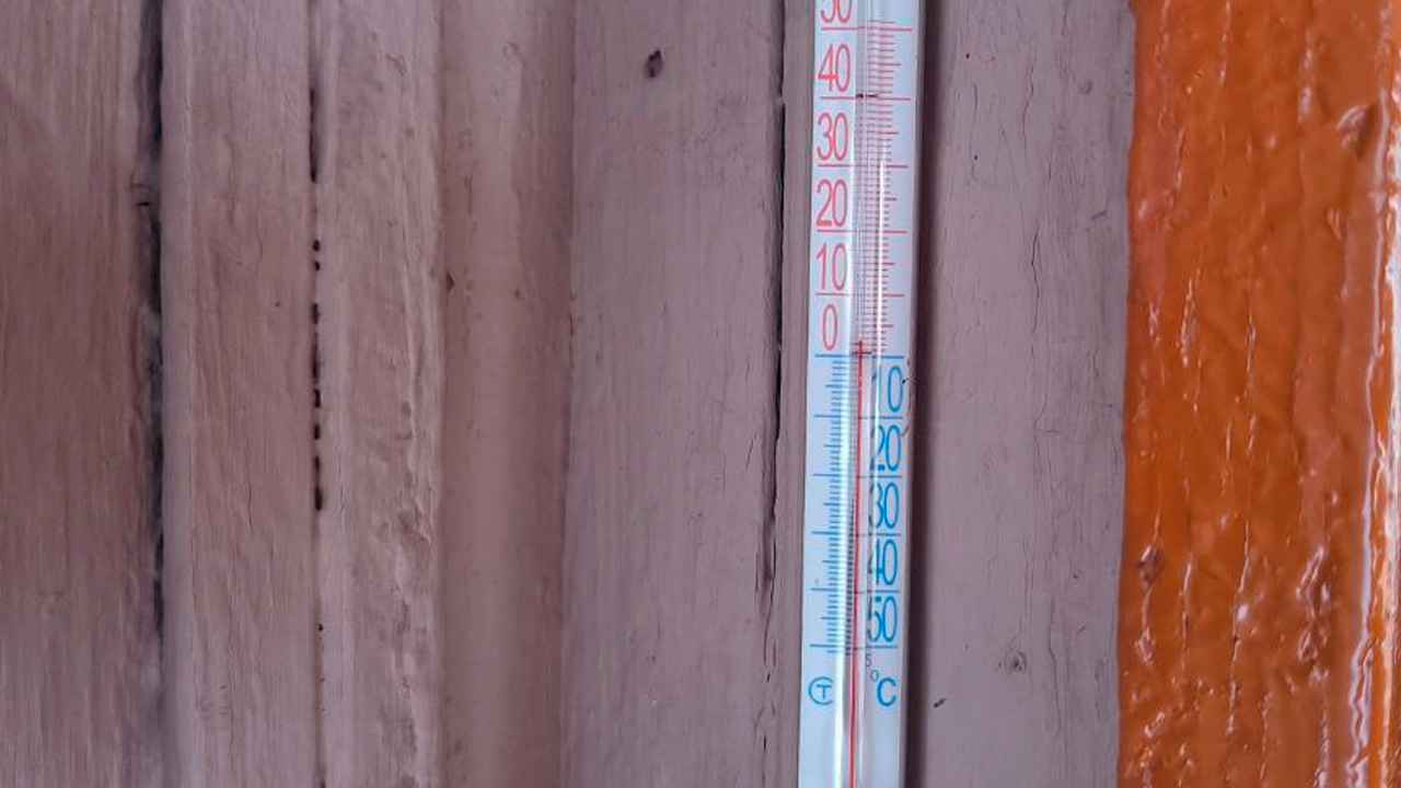 Зимняя побелка деревьев: подробная инструкция