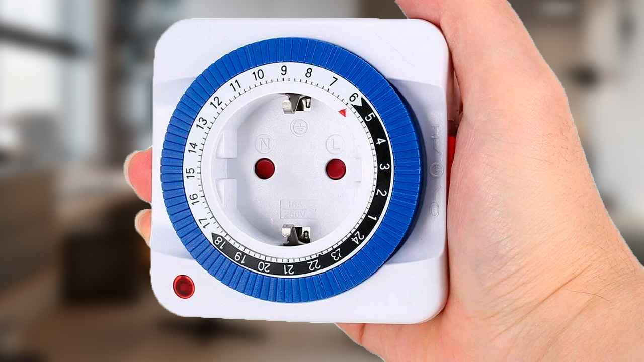 Как зимой вырастить клубнику на подоконнике: получите первый урожай уже в конце февраля