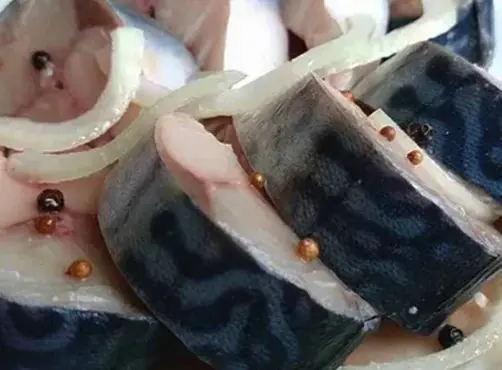 Малосольная маринованная скумбрия в домашних условиях: проще рецепта не существует