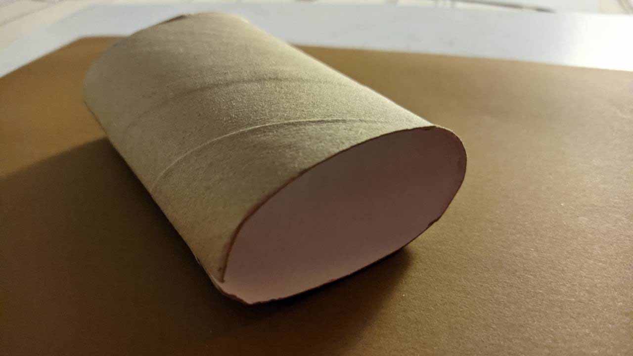 Выращиваем рассада в картонных втулках от туалетной бумаги: проверенный способ с нулевыми затратами