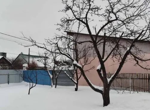 Зимний сад: работа есть всегда