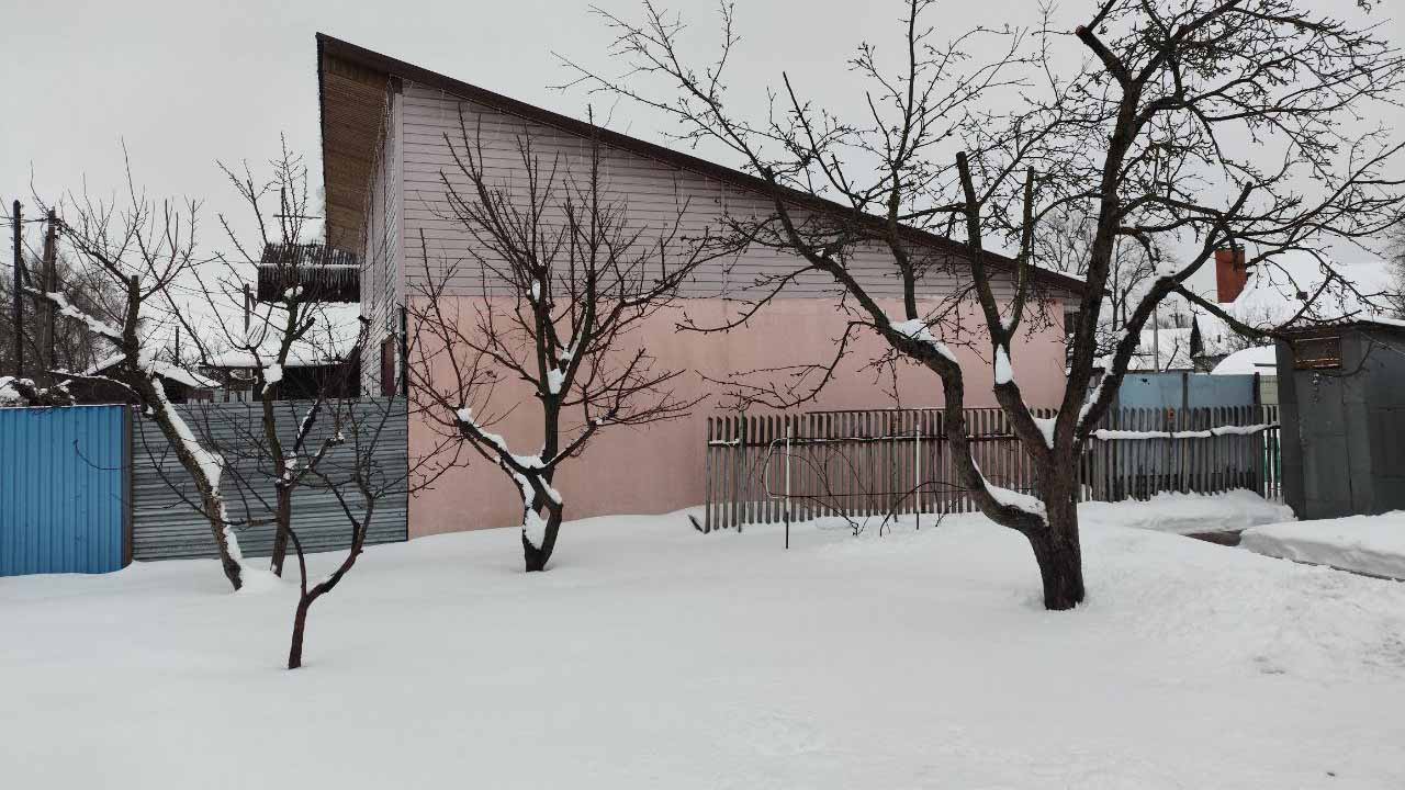 Бесснежная зима способна погубить сад: 5 главных опасностей и проверенные способы защиты