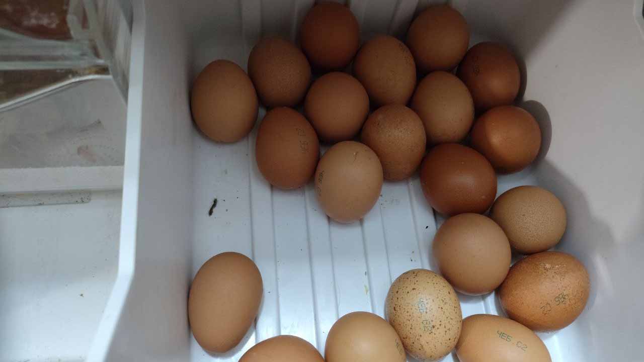 Продвинутые покупатели выбирают домой яйца только так: запомните эти два простых приема