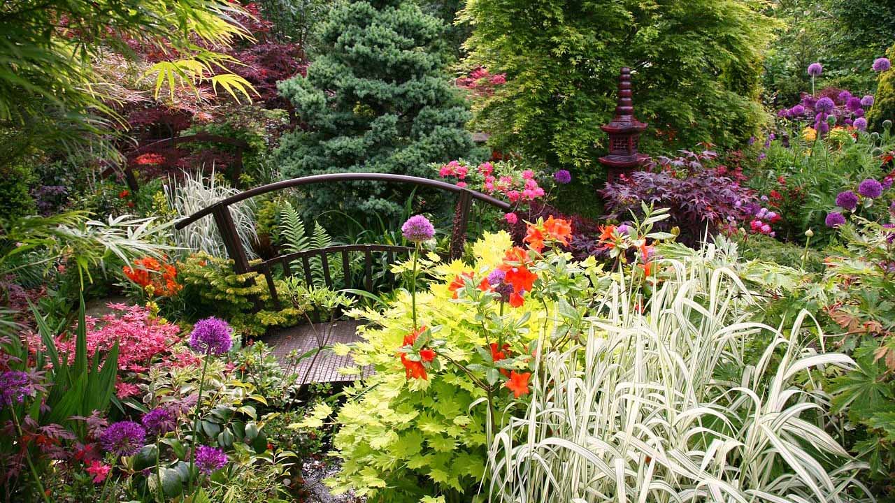 Идеальный сад без лишних хлопот: гид по выбору растений и уходу от А до Я