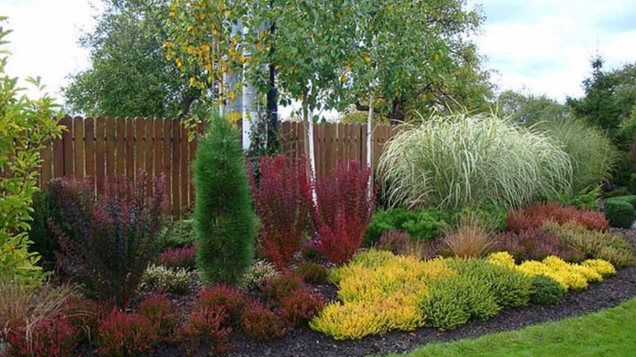 Летняя стрижка декоративных кустарников: закладываем основу будущего цветения