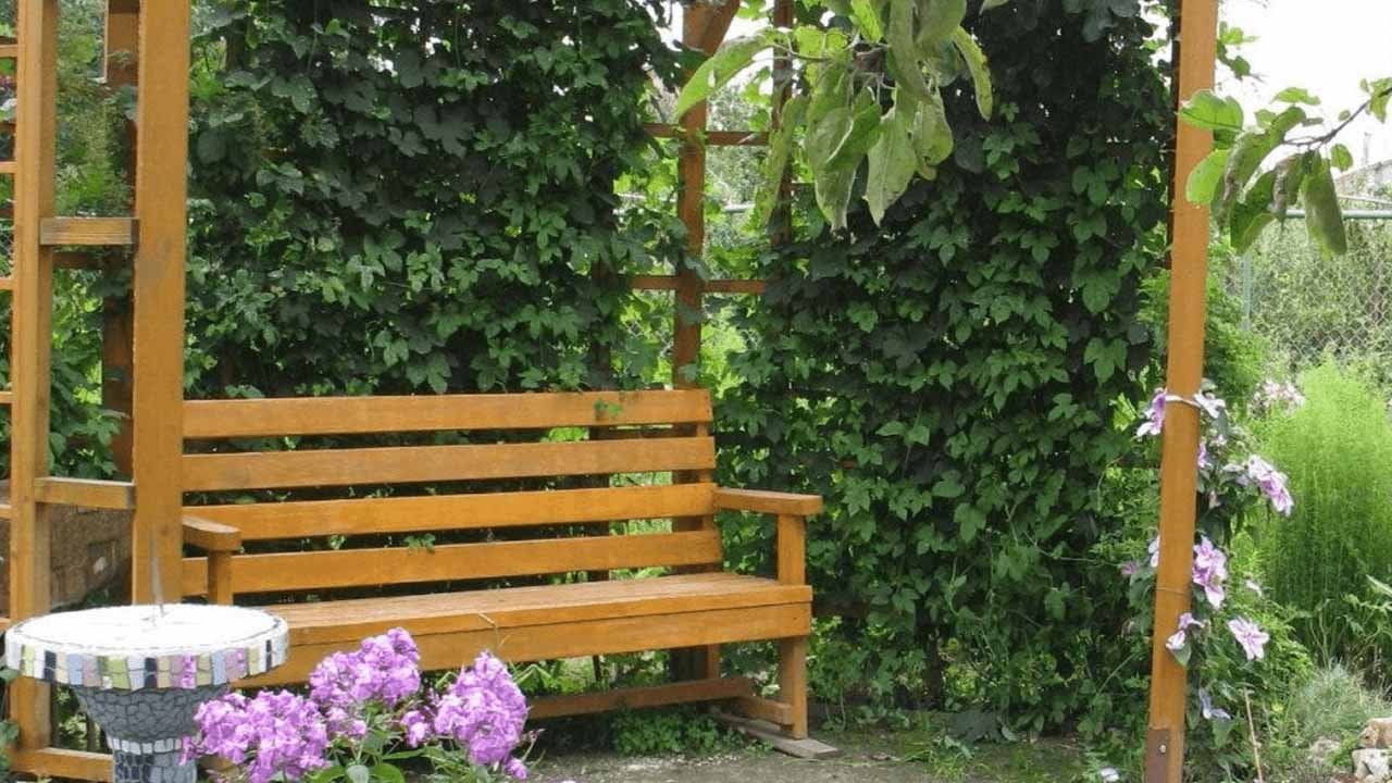Секреты уютного уголка: как правильно построить и озеленить беседку, перголу или арку на даче
