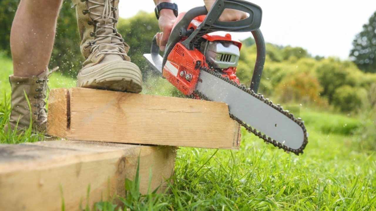 Как перестать работать на участке и начать им управлять: советы по выбору дачной техники