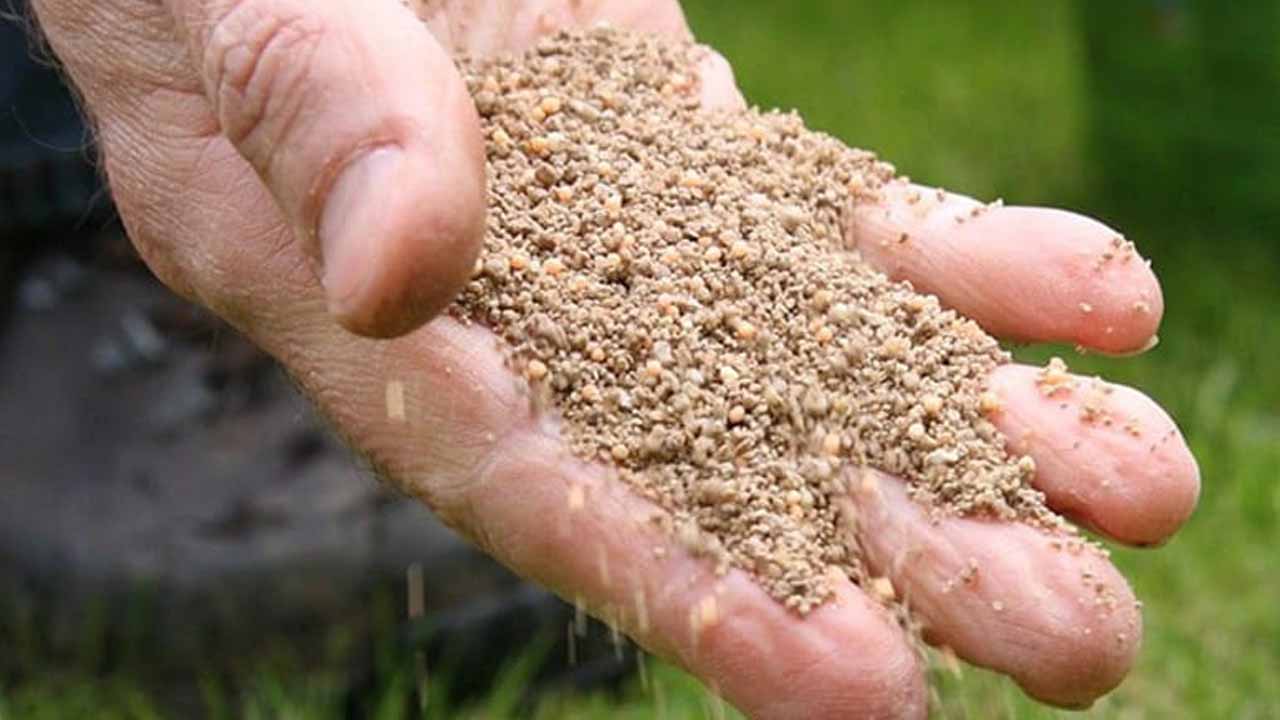 Трава растет ровным ковром и не желтеет: секрет кроется в приеме о котором мало кто знает