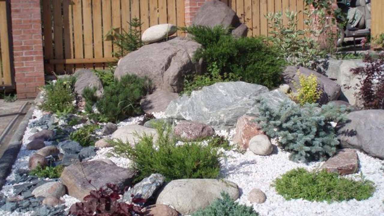 Каменистый сад своими руками: правила выбора камней, посадки растений и ухода