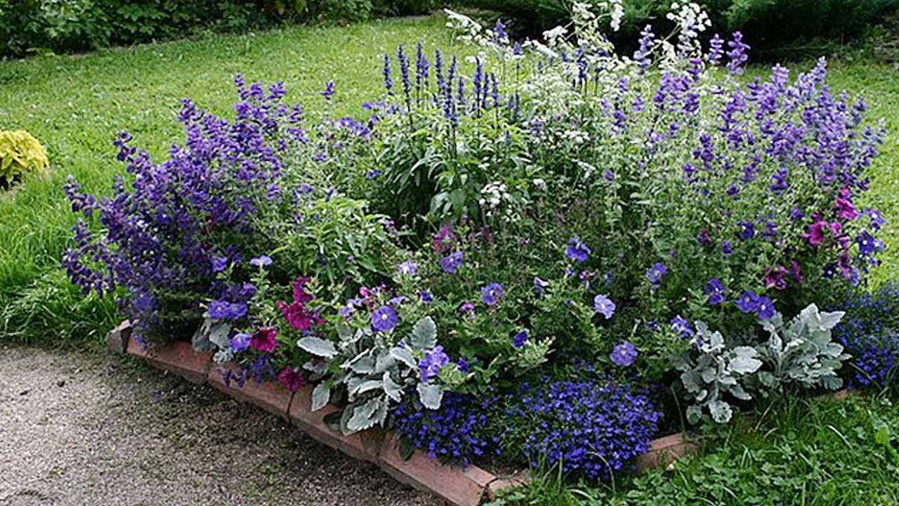 Сад в сиреневых тонах: 7 идей для клумб — от простых до тех, где придется повозиться