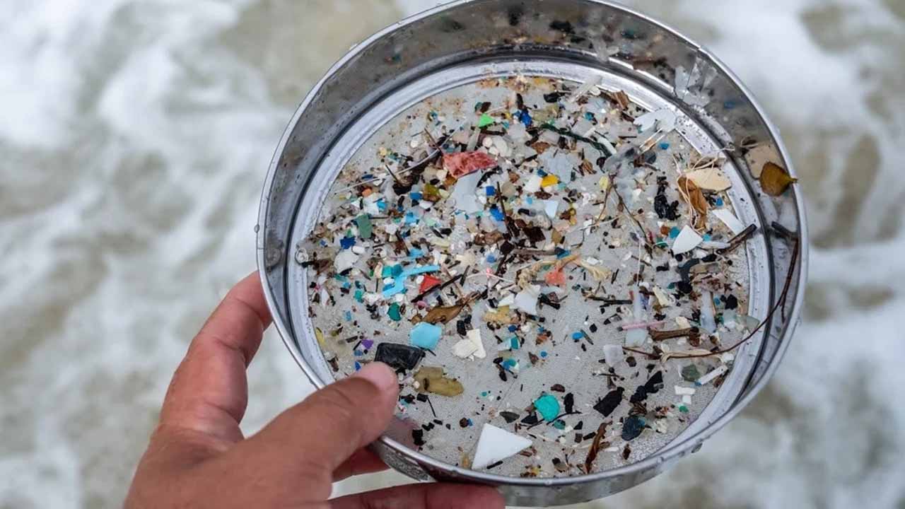 Микропластик в огороде: насколько это опасно и что с этим делать