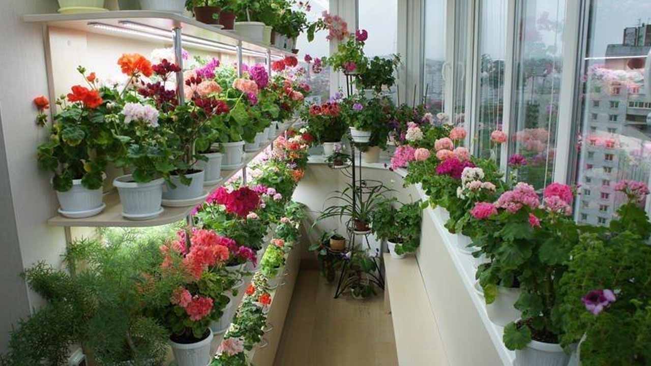 Маленькая оранжерея на подоконнике: идеи декора для вашей рассады