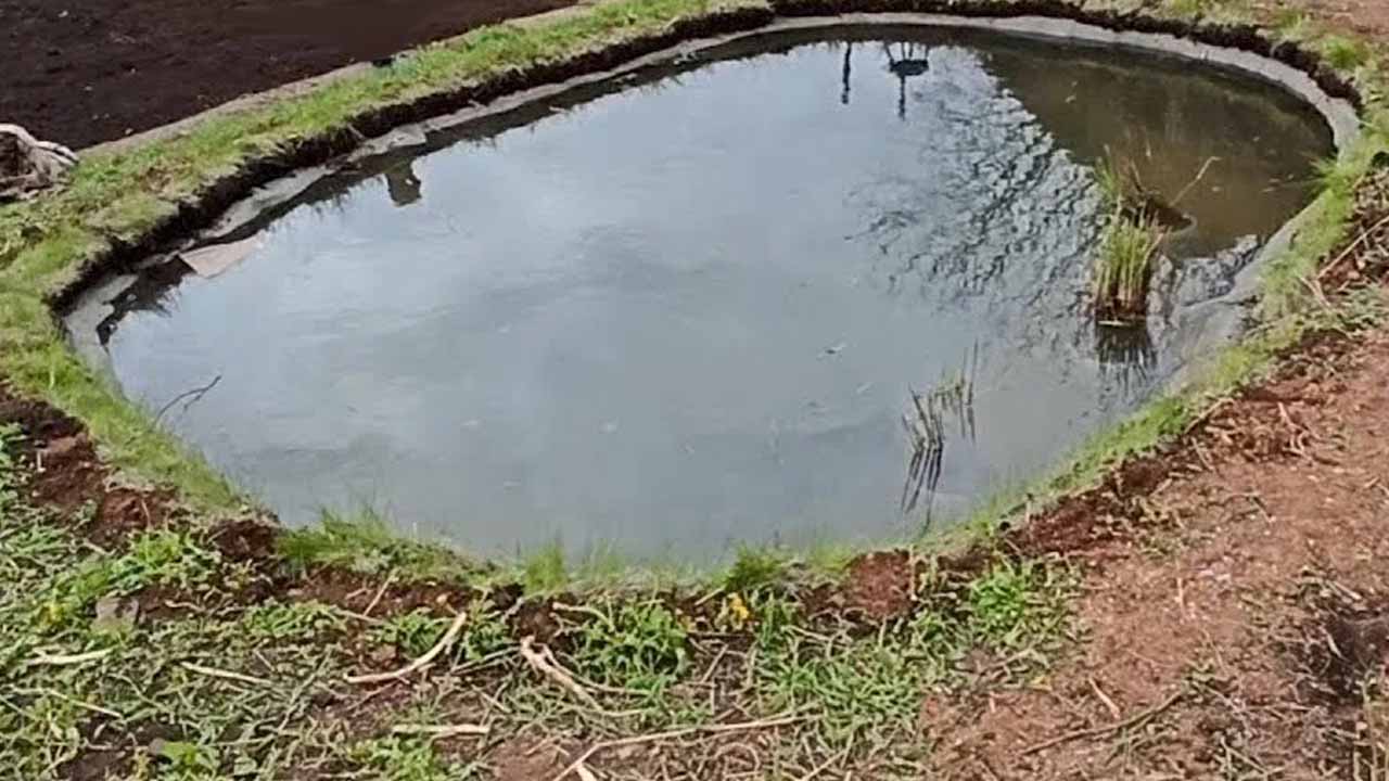 Как сделать пруд на участке, чтобы он радовал, а не создавал проблем