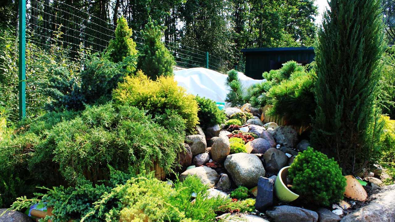 Альпийская горка: от карликовых деревьев и очитков до майских первоцветов