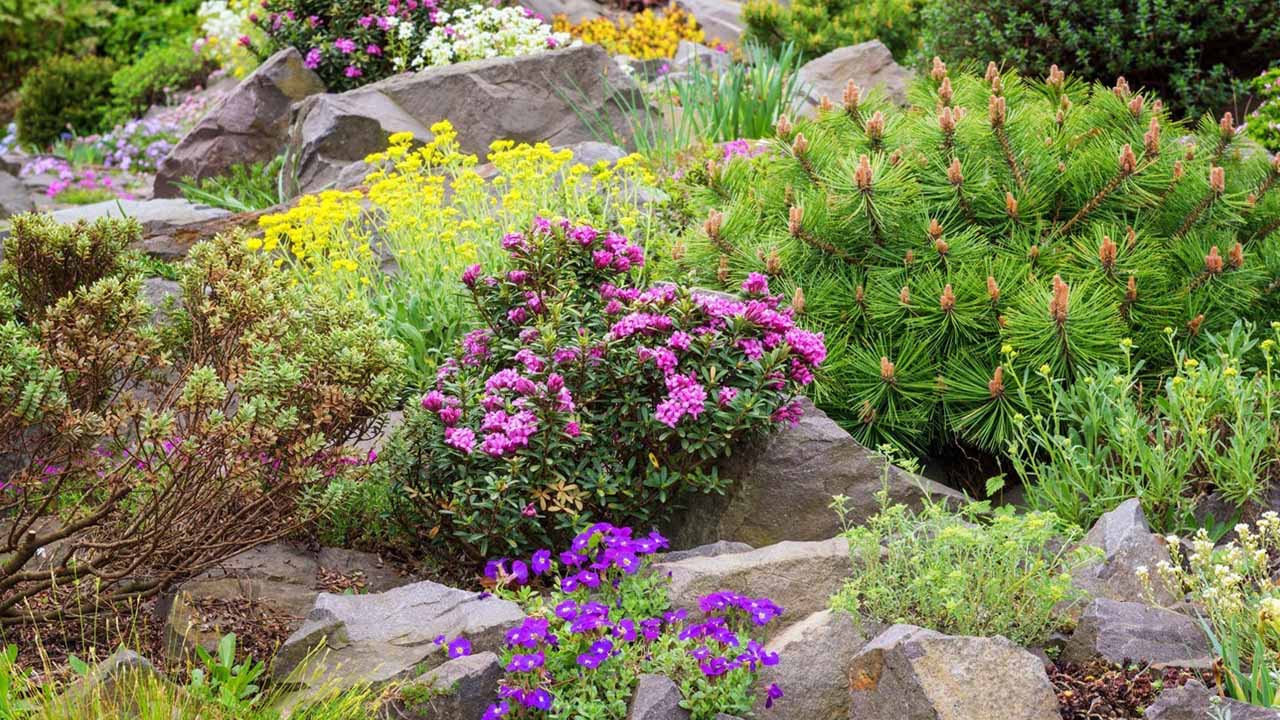 Альпийская горка за один день: понятное руководство для новичков