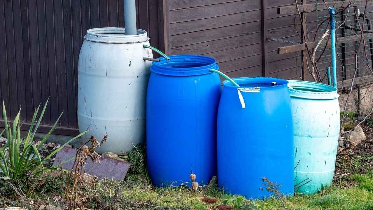 Сухой полив: почему опытные дачники бегут в сад сразу после ливня