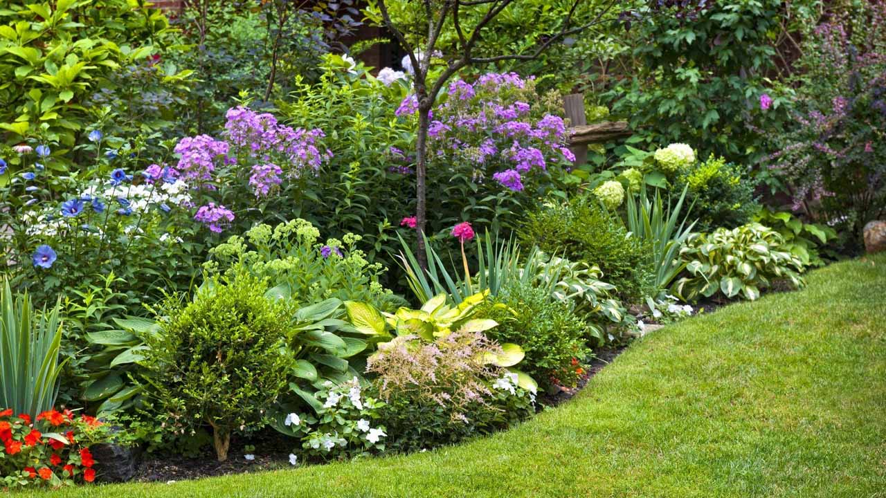 Июльский миксбордер: как продлить цветение и сохранить красоту сада в разгар лета