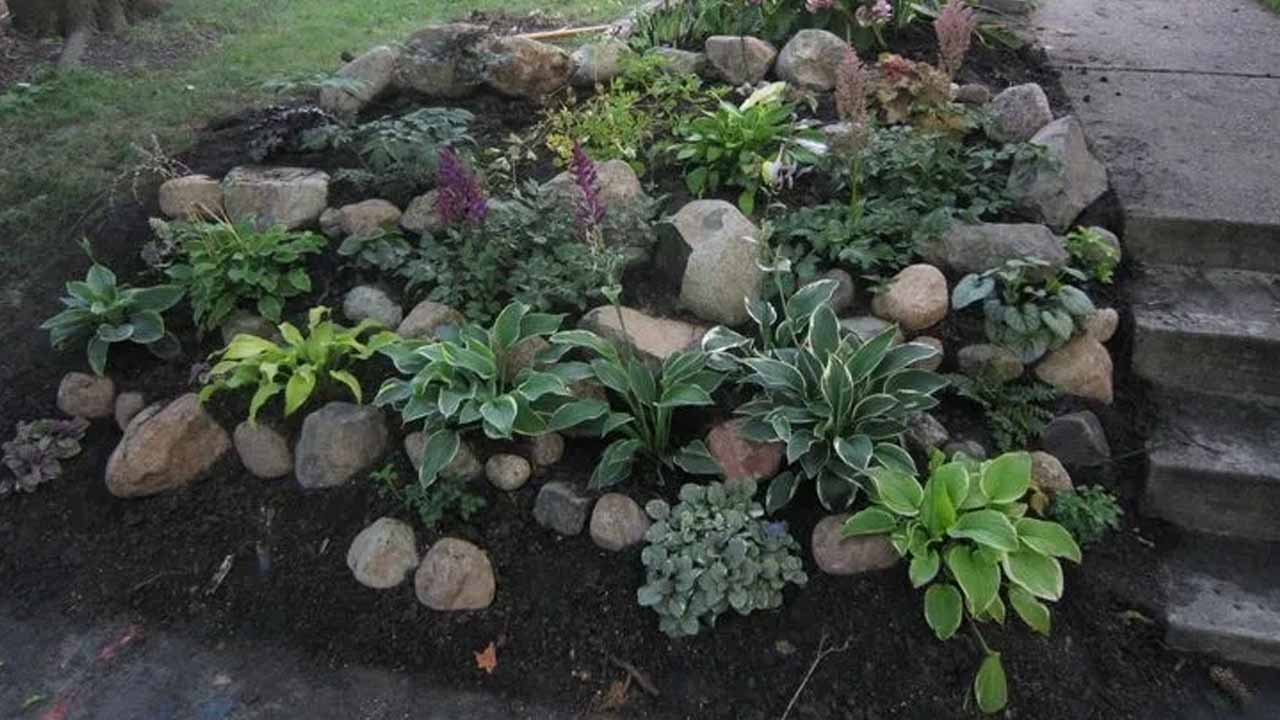 Каменистый сад своими руками: полное руководство по созданию рокария