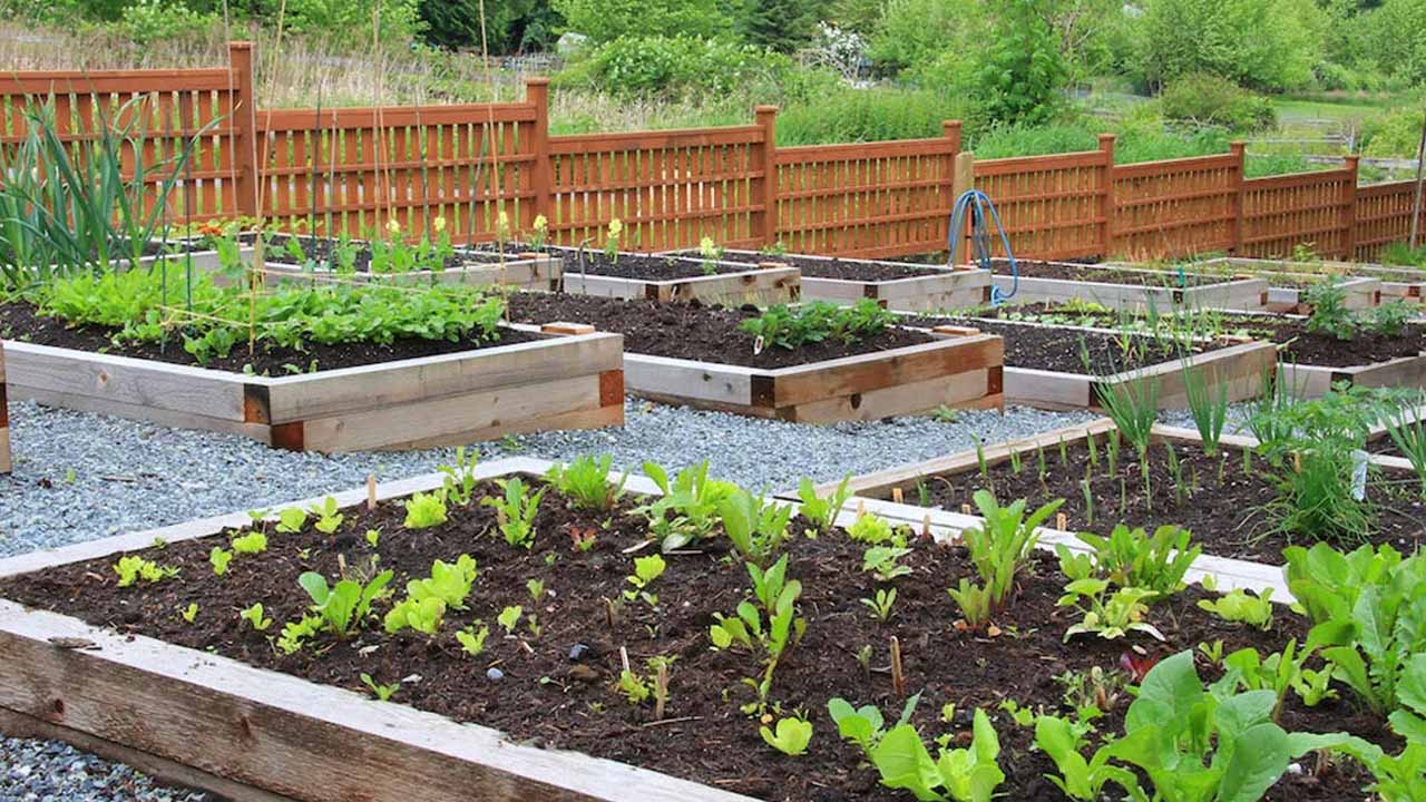 Склон — не приговор: как террасирование и грамотные подпорные стены превращают рельеф в удобный участок