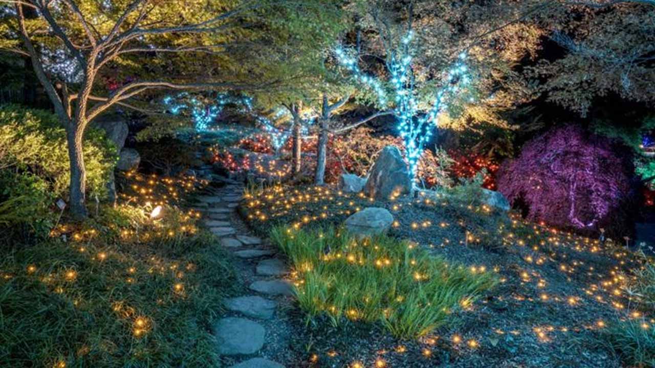 Живой свет в вашем саду: концепция «Дома летающих огней» от корейских дизайнеров